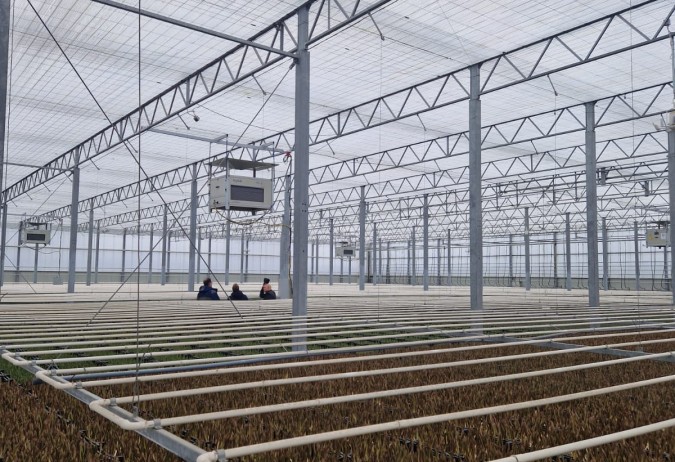 DryGair: Efficiënte ontvochtiging en klimaatbeheersing in uw kas